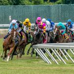 Noel’s Weekend Winners: Targeting Turf Stakes on Haskell Day at Monmouth Park